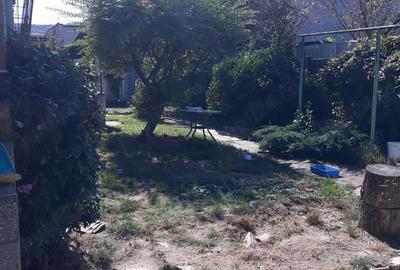 Casa Bocsa Montana pretabila credit 500 mp negociabil - 7