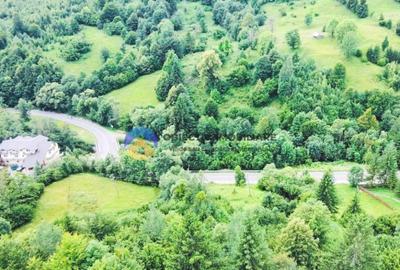 TEREN Izvoru Muntelui, langa orasul BICAZ - 8