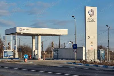 Teren de 8000 mp, în Măgurele - 15