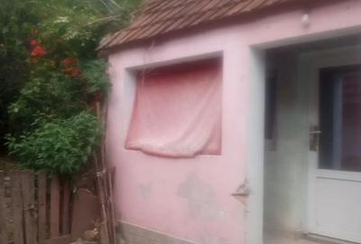 Casă cu 2 camere în Odvoș - 1