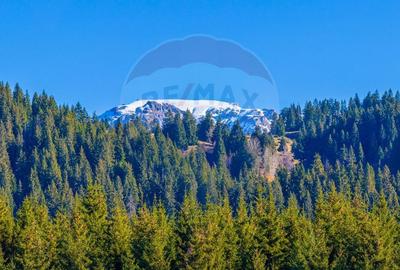 Teren Construcții intravilan de 13800 mp, în Fundățica - 14