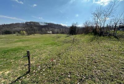 Teren de 8131 mp, în Curăturile - 8