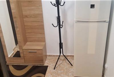 Garsonieră semidecomandată în Brâncoveanu - 9