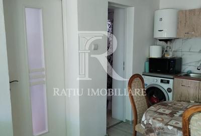 Casă cu 3 camere cu Teren 3000 Mp în Tămășeu - 9