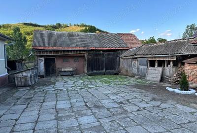 Casa de vanzare in comuna Lechinta Casa de vanzare in comuna Lechinta - 4