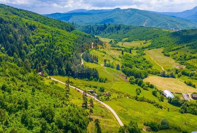 Teren de 7400 mp, în Tărlungeni - 6