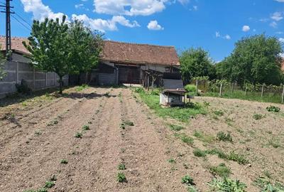 Casă cu 3 camere cu Teren 1200 Mp în Vințu de Jos - 1