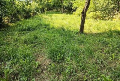 Casa individuala S+P+M cu teren 1723 mp, zona linistita, in Grigorescu - 8