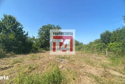 Casă cu 2 camere cu Teren 2334 Mp în Central - 2
