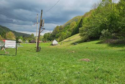 Teren de 2450 mp, în Bulz - 1