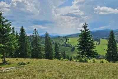 Proprietate de vanzare 92.554.mp ( 9.25 ha) in Bucovina zona Breaza - 6