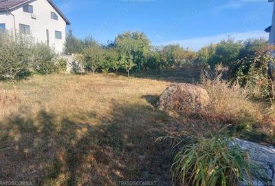 Teren intravilan Comuna 1 Decembrie - 2