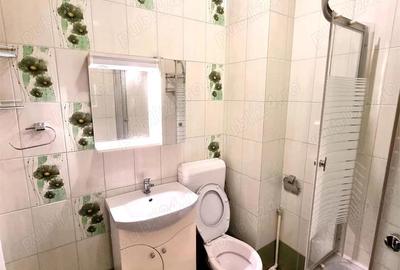 Apartament cu 2 camere decomandat, mobilat în Central - 5