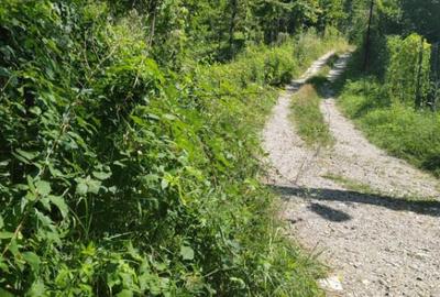 Teren de 1035 mp, în Central - 3