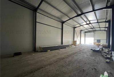 Spațiu comercial, de 435 mp, în Ulmi - 8