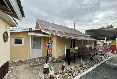 Casa de vacanta din lemn cocheta in Gaesti - 1
