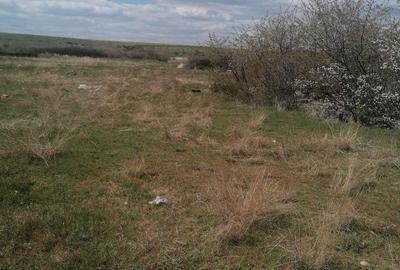 Teren de 47035 mp, în Pleșoiu - 2