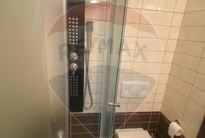 DE INCHIRIAT Apartament cu 3 camere Tineretului , Asmita ... - 10