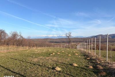 Spațiu comercial, în Poplaca - 5