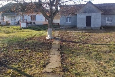 Casă cu 3 camere cu Teren 16 Mp în Dâmbu - 1