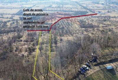 Teren de vanzare extravilan Ocolis - 1