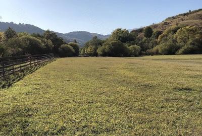 Casă cu 9 camere cu Teren 8233 Mp în Mărgău - 5