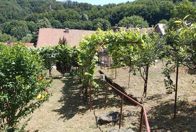 Casă individuală cu 12 camere cu Teren 1803 Mp în Central - 19