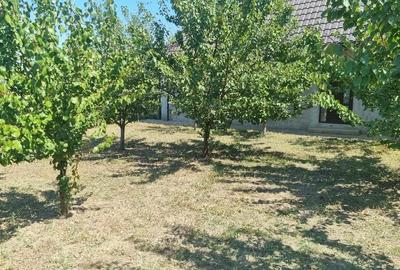 Casă cu Teren 1233 Mp în Odaia Manolache