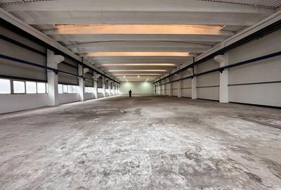 Spațiu industrial, în Tătărași - 9