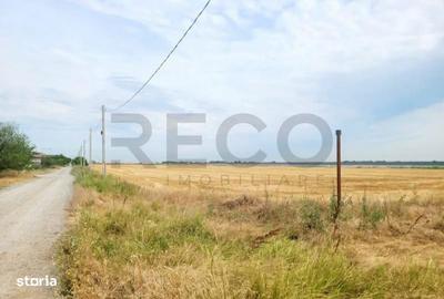 Spațiu comercial, în Tărian