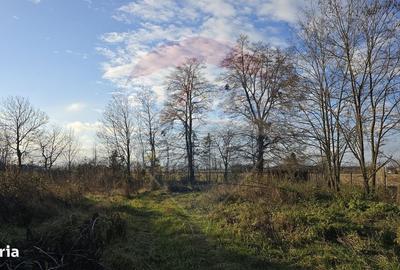 Spațiu comercial, în Gălănești - 5