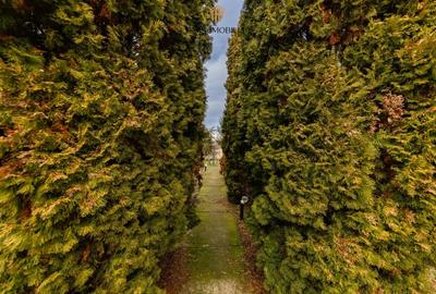 DE VANZARE - OPORTUNITATE EXCLUSIVĂ HOTEL / PENSIUNE - LOVRIN, TIMIȘ - 22