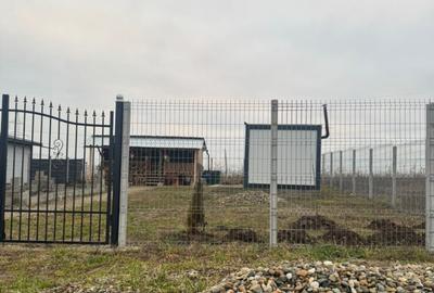 Teren cristur hunedoara parcele 500, 1000, 1500 mp - 15