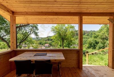 CASA EFICIENTA ENERGETIC - NZEB  in mijlocul naturii -Valea Urusului - 7