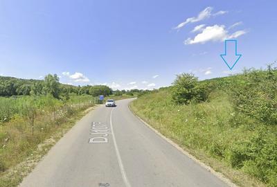 Teren de 4200 mp, în Ciurila - 2