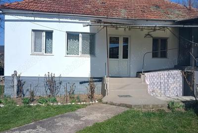 Casă cu 2 camere cu Teren 1950 Mp în Gothatea - 4