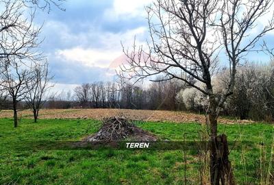 Casă cu 3 camere cu Teren 2460 Mp în Borlești - 22