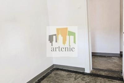 Pache Protopopescu - Plantelor apartament in vila - 12