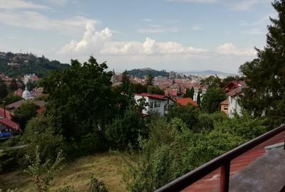 Apartament cu 3 camere semidecomandat în Ultracentral - 23