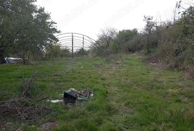 Casă cu 3 camere în Varlaam - 2