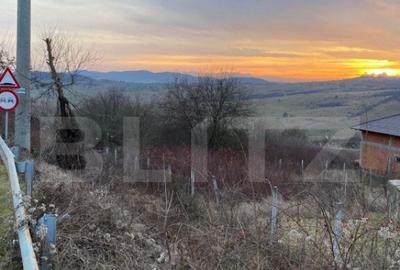 Teren intravilan, 22 ari, zona Dealul Budacului - 10