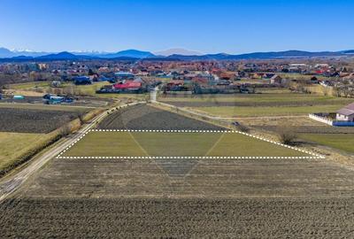Teren agricol extravilan de 3700 mp, în Lunca Calnicului - 11
