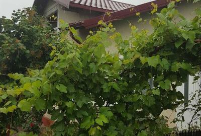 Casă cu 4 camere în Olari - 2