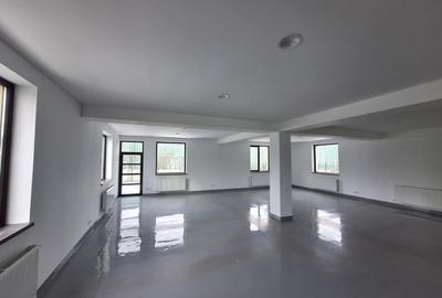 Spațiu comercial, de 440 mp, în Ștefăneștii de Jos - 17