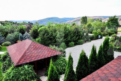 Proprietate HORECA cu sala de evenimente moderna, intr-o oaza de liniste Proprietate HORECA cu sala de evenimente moderna, intr-o oaza de liniste - 13