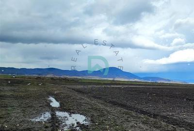 Teren agricol extravilan de 136000 mp, în Cristian - 4
