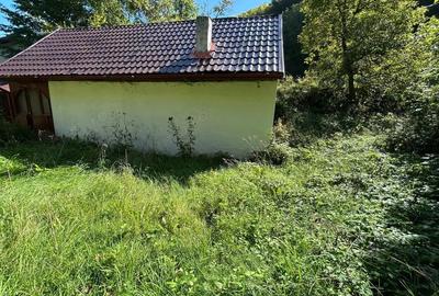 Casă cu Teren 358 Mp în Valea Mănăstirii - 4