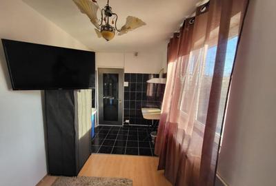 Camera de camin, zona Valea Rosie - 2