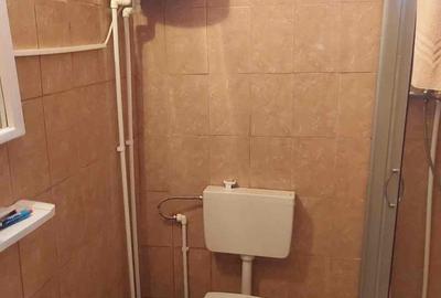 Casă cu 4 camere cu Teren 2200 Mp în Lugoj - 4