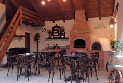 Casă cu 6 camere în Ocna Sibiului - 8